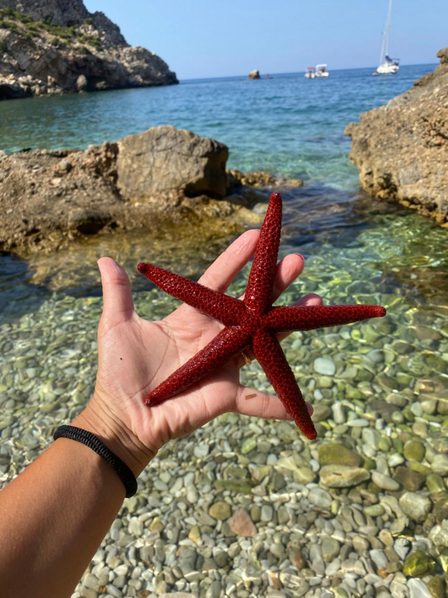 Appartamento Barone Castellammare del Golfo Extérieur photo